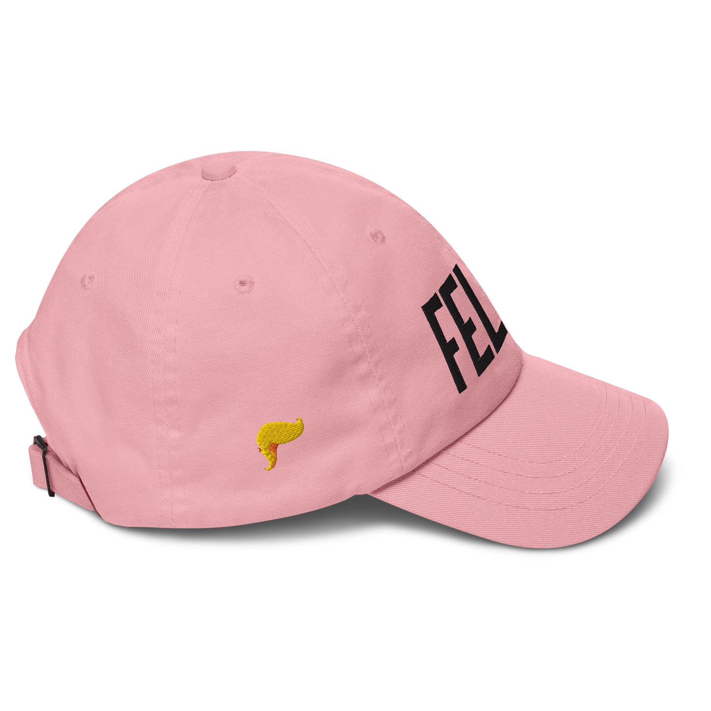 FELON 2024 Dad Hat